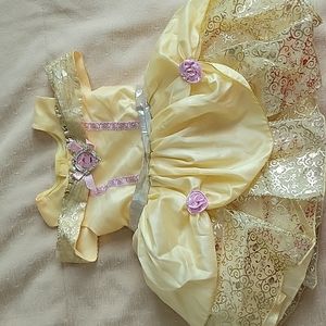 Belle disney dress costume